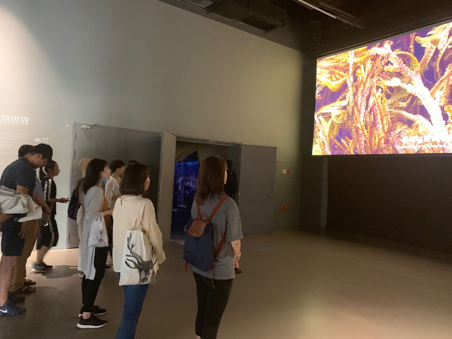 1563766496778082676.jpg 1563766496778082676.jpg