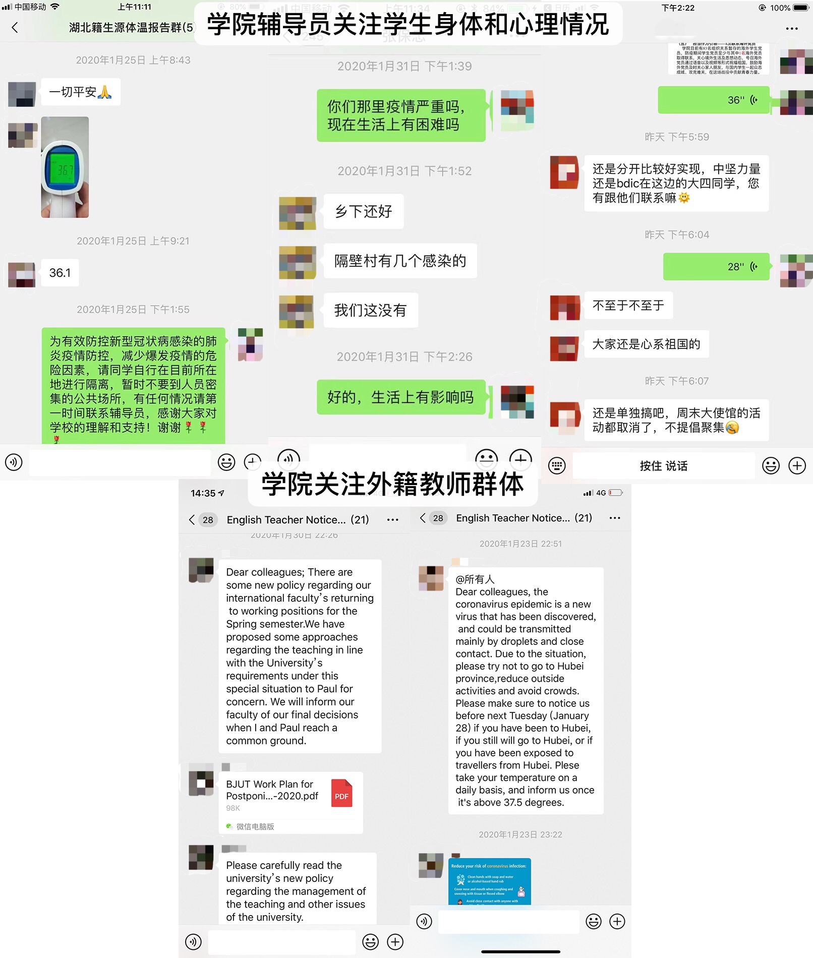 1585650890089016816.jpg imagePreview.jpg